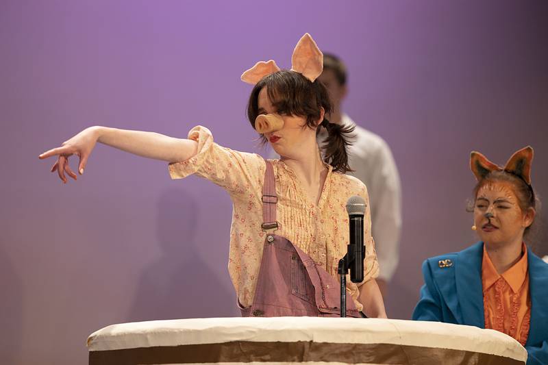 Playing the part of the pig who built a house out of sticks, Anne McFarlane identifies the Big Bad Wolf as the perpetrator of the crime of "huffing and puffing" and causing property damage during a production of "Fairy Tale Courtroom."