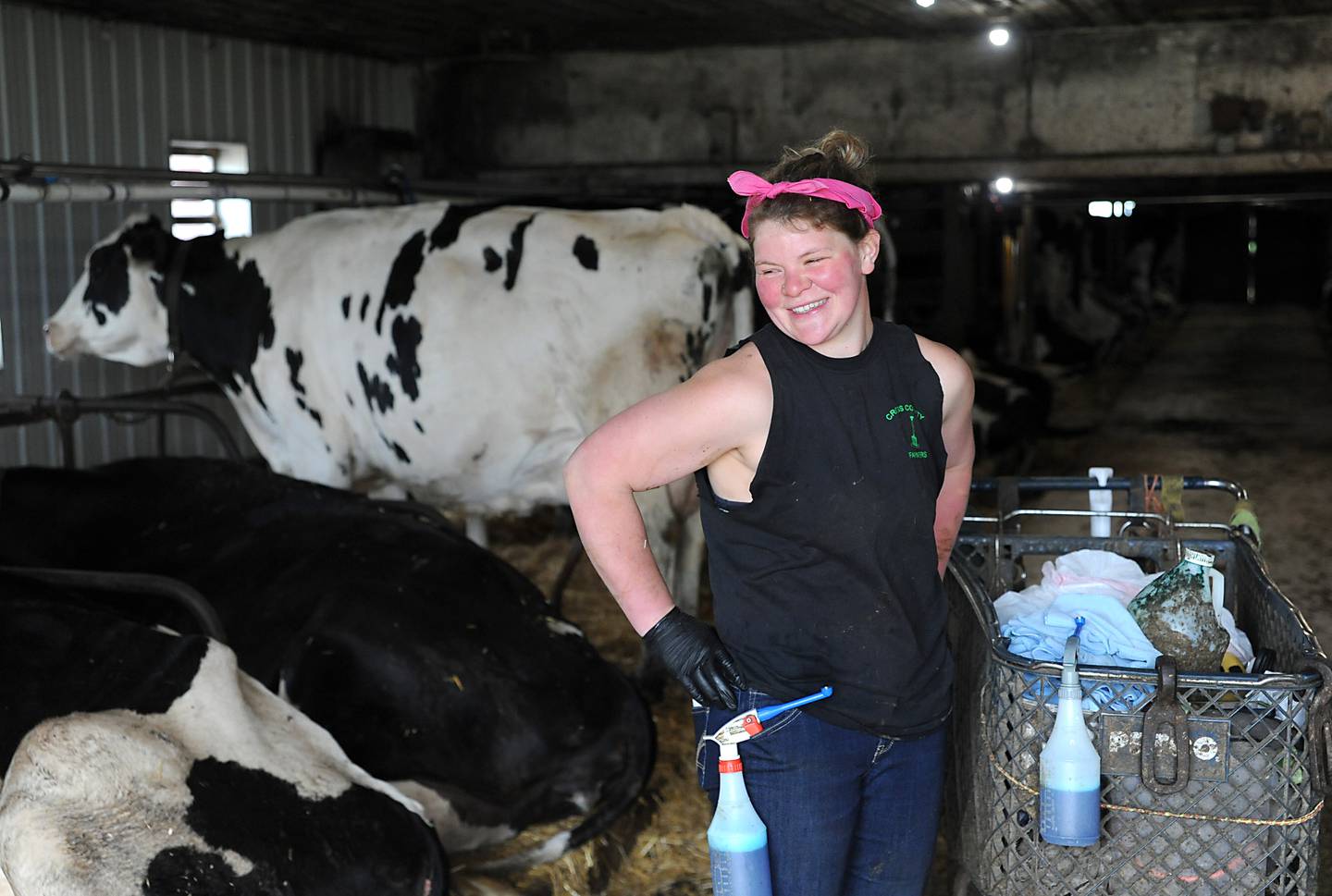 Meredith Ziller waits to move a milking machine from one cow to another in the milking parlor of the family dairy farm, 13704 Adamson Road in Huntley, on Wednesday, June 1, 2022. The farm is one of about 20 dairy farms left in McHenry County.