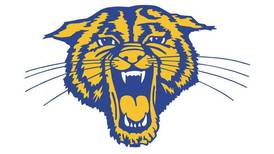Not a typo – Somonauk/Leland softball beats Mendota 30-29: The Times Wednesday Roundup