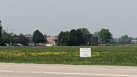 Gas station, restaurant proposed at Plainfeld/Woolley intersection in Oswego