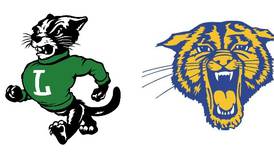 Baseball: Somonauk overcomes slow start to top Leland