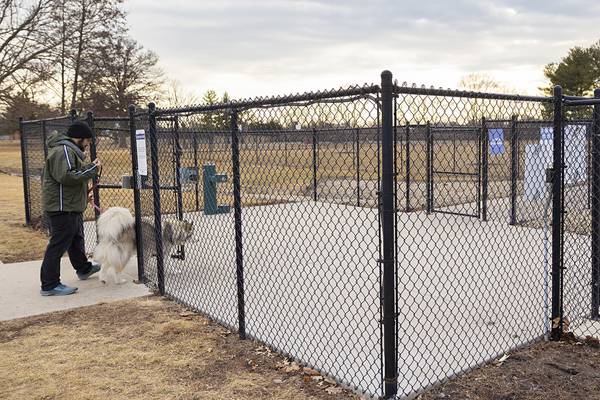 Sterling dog park committee ready to run with plans for park
