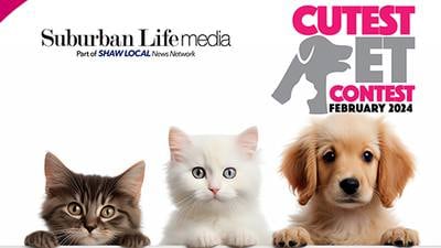 Vote in Suburban Life’s February 2024 Cutest Pet Contest