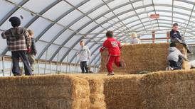 Pumpkin season is here. Read our list of northern Illinois pumpkin farms