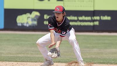 Baseball: Henry will return strong core from state runner-up squad