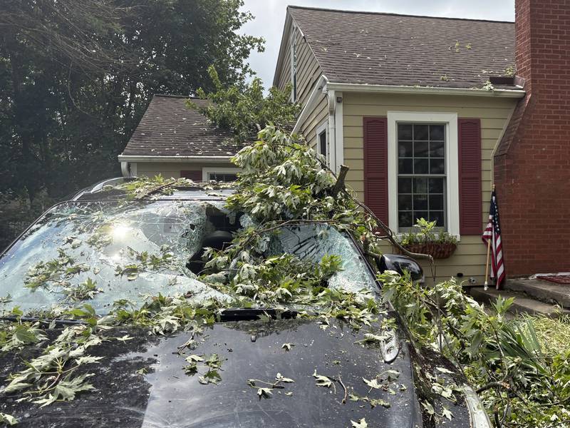 A tree damaged a car, pictured Aug. 17, 2025, at Amy Markowski's home in Cary.