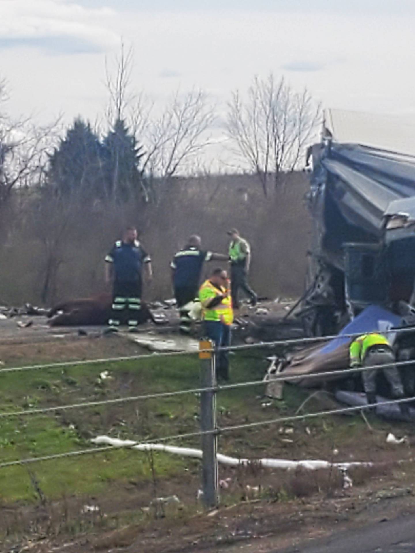 Cattle were loose Interstate 80, stopping eastbound lanes of traffic from Houbolt Road to Larkin Avenue, after a hauler was involved in a crash on Tuesday, April 19, 2022, Illinois State Police said.
(Photos courtesy of Michael Uylaki)