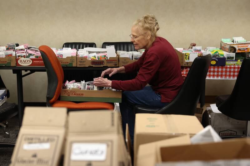 Volunteer Nancy Eleder of Homer Glen organizes seed packets on Tuesday, February 14, 2023, for the upcoming SeedFest on February 25th at the University of Illinois Extension office in Will County.