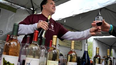 Wine on the Fox festival returning to Oswego in May; tickets on sale now