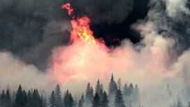 Protect forests and natural resources as a USDA wildland firefighter