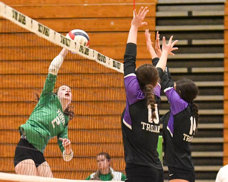 York's Eileen Carroll (2) spikes the ball past Downers Grove North's Nora Benjamins, center and Ellery Cabaj during the game on Tuesday Oct. 22, 2024, held at York High School in Elmhurst.