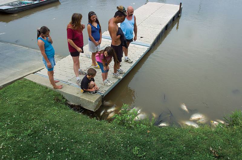 FILE 2009: A group checks out dead and dying fish at the Arduinin boat ramp in Rock Falls Sunday morning. The ethanol spill in Rockford is the suspecteD cause of a fish kill first reported in Grand Detour this morning that then moved to the Sterling/Rock Falls area. No reports further downstream at this time. Sgt. Curt Lewis of the Illinois Conservation Police adviced against eating any of the fish but said that the river will remain open for boating and fishing.