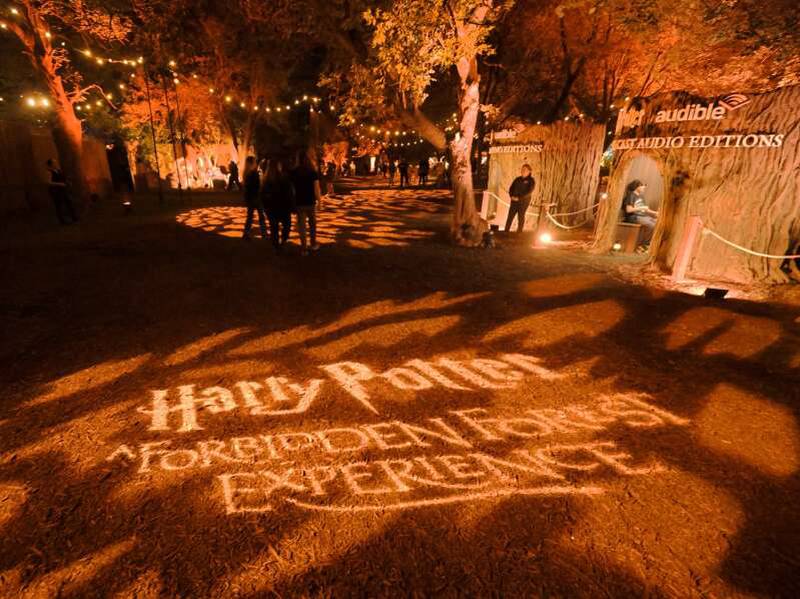 “Harry Potter: A Forbidden Forest Experience” is now open at the YMCA of Metropolitan Chicago’s Camp Duncan off Route 12 in Ingleside. The experience runs through Nov. 2.