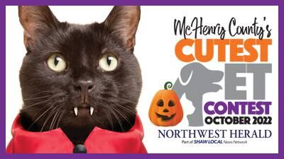 Enter October’s McHenry County’s Cutest Pet Contest