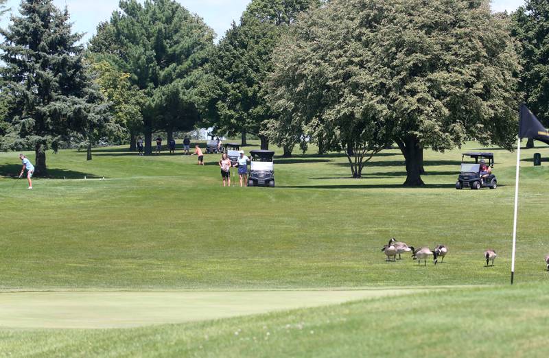Area golfers compete during the Illinois Valley Womens Golf Championship on Saturday, Aug. 11, 2024 at Deer Park Golf Club in Oglesby.