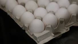 Loaves and Fishes needs help after it loses egg provider