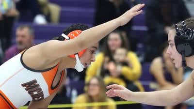 2025-26 Northwest Herald girls wrestling preview capsules