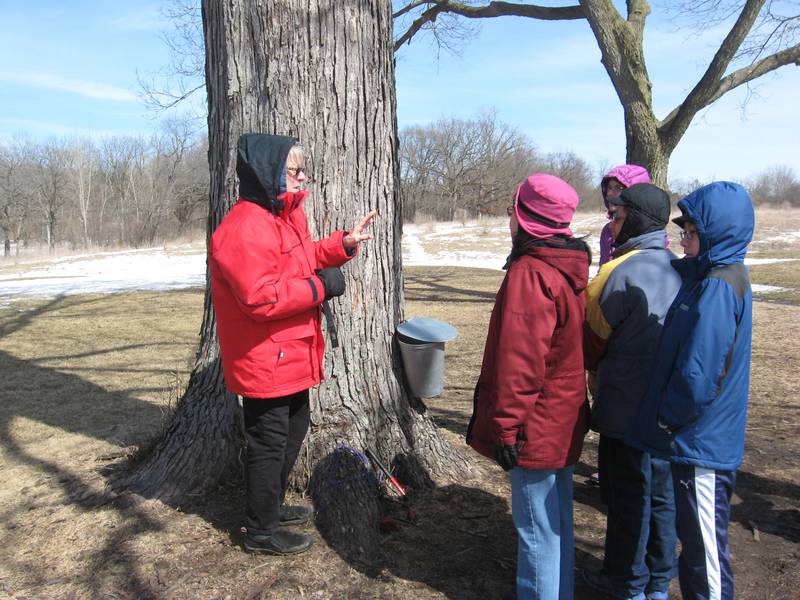 Kane County Forest Preserve District volunteer Suzi Myers on Sunday explained to families the science of making maple syrup during Maple Sugaring Days at LeRoy Oakes Forest Preserve.