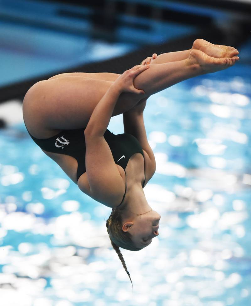 York’s Kalina Ceglinski dives during the IHSA girls state swimming and diving finals at FMC Natatorium in Westmont on Saturday, Nov. 12, 2022.