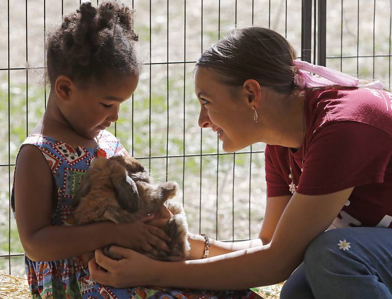 Morgan Hill interacts with Francesca Oyegun, 5, as she holds a rabbit during a stop on the McHenry County Farm Stroll on Sunday, Sept. 29, 2024, at Hephzibah Farms in Hebron. The farm stroll, a self-guided tour of McHenry County’s family farms, featured farm tours, demonstrations and products for sale at eleven farms.