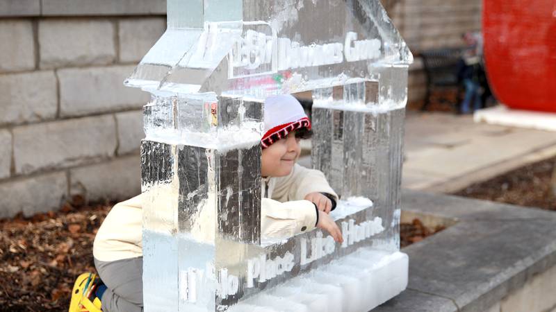 5 Things to Do: Downers Grove Ice Festival, Chocolate Weekend at Morton Arboretum