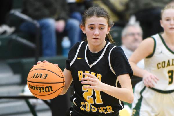 Daily Journal Athlete of the Week: Reed-Custer’s Alyssa Wollenzein