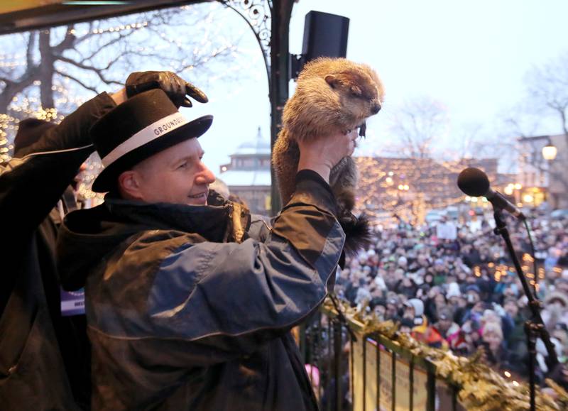 Woodstock Willie is held by handler Mark Szafran as Willie looks to see if he can see his shadow on Monday, Feb. 2, 2026, during the annual Groundhog Day Prognostication in the Woodstock Square.