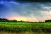 Ray Lake, Half Day preserves to grow with new acquisitions  