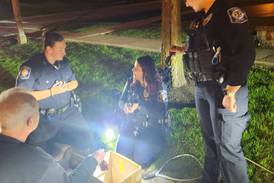 ‘Like Charlie’s Angels showed up’: Geneva police rescue ducklings from storm sewer