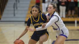 Sauk Valley area girls basketball previews for the 2024-25 season
