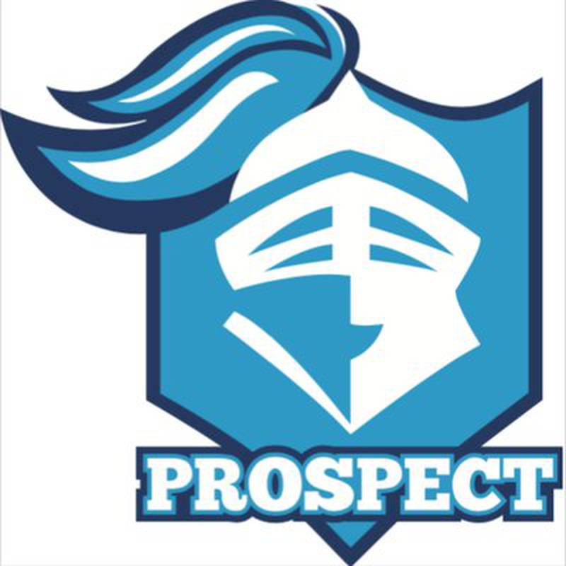 Prospect logo