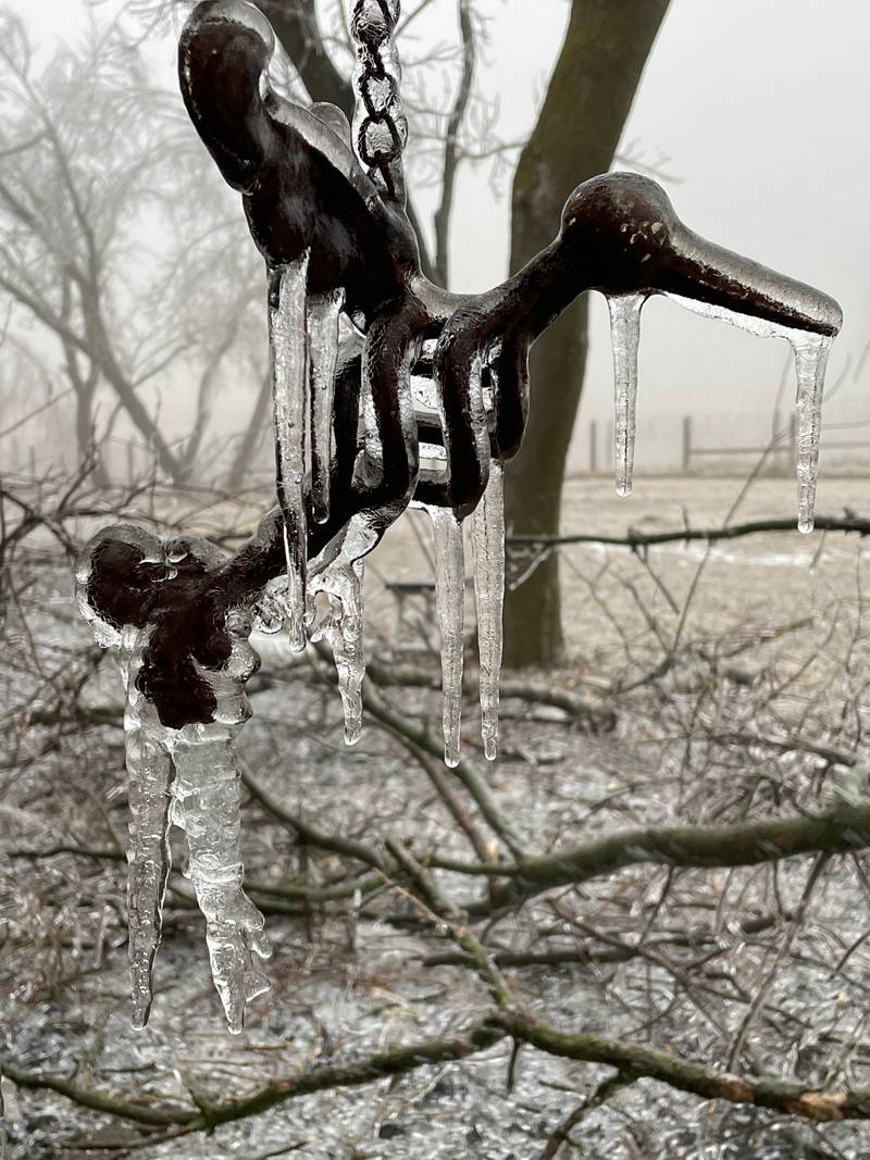 Drips of ice are photographed Wednesday, Feb. 22, 2023, by Northwest Herald reader Susan Kimbrough in Harvard.