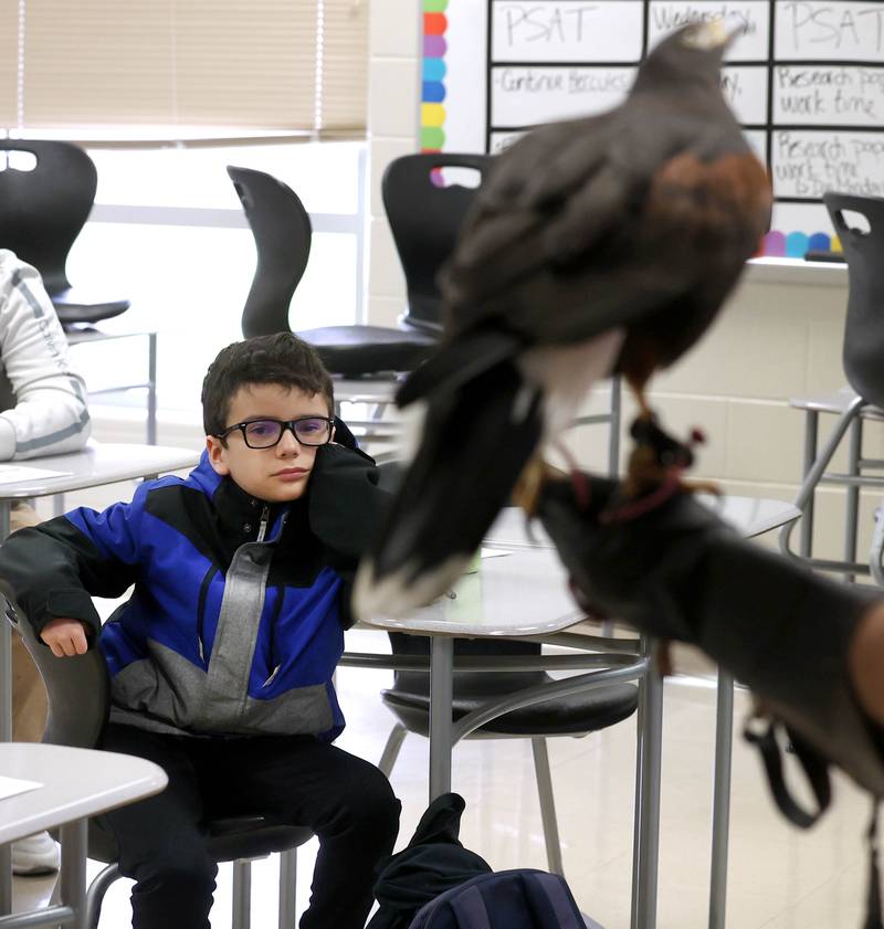A student watches Bryan Tallitsch, District 428 IT manager, and Soyuz, his Harris’s Hawk, Saturday, April 5, 2025, as they talk about how technology is used in modern falconry during Barb STEAMCon at Dekalb High School. The event featured sessions focusing on the areas of science, technology, engineering, arts and math.