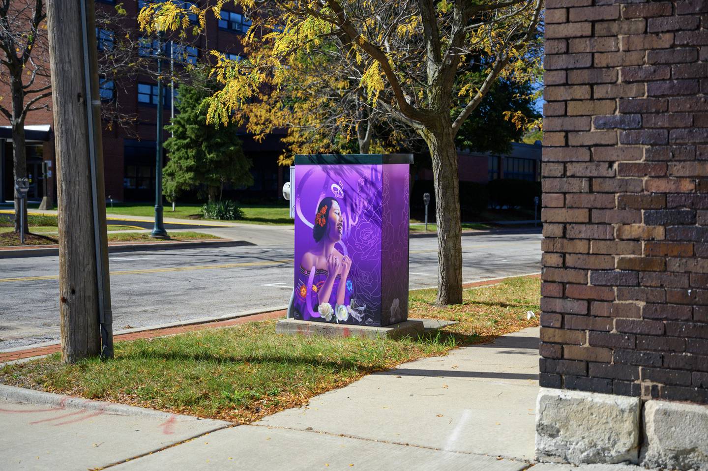 Joliet has added paintings to depict musical selections on the outsides of utility boxes at 10 locations downtown.
Oct. 25, 2024