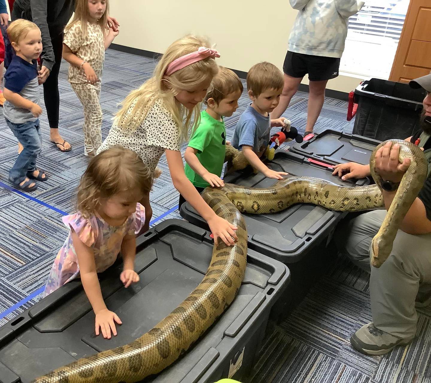 Children take turns Friday, June 10, 2022, petting a green anaconda at Reddick Library in Ottawa. The Crosstown Exotics Traveling Bug and Reptile Show visited the library.