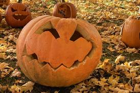 Pumpkin Fest homes tour subject of next lecture in DeKalb History Center series