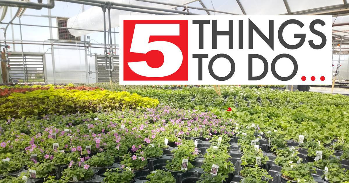 5 things to do in DeKalb County Plant sales, job fair, Walk a Mile
