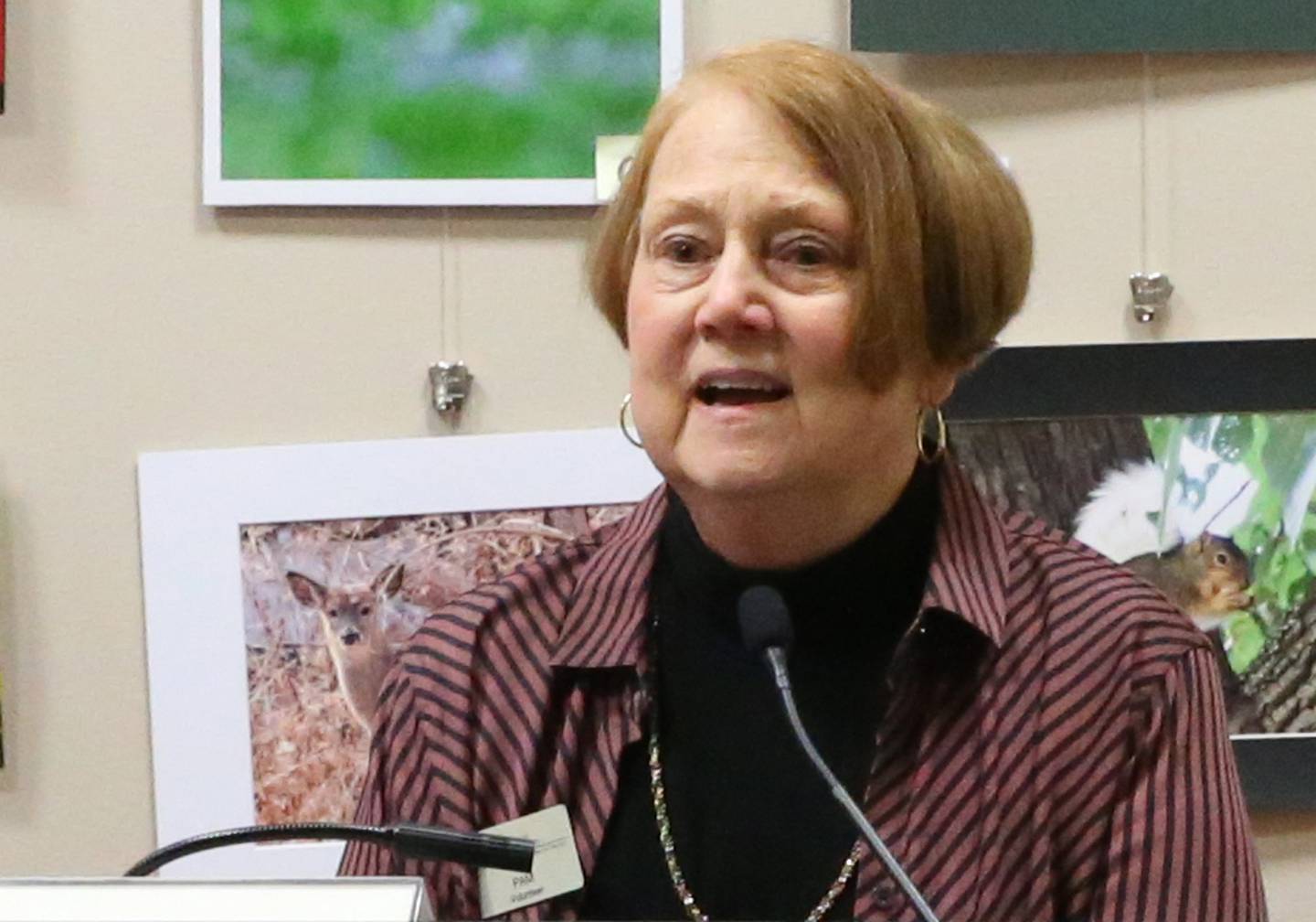 Pam Grivetti, President of the Starved Rock Foundation delivers a speech during the ribbon cutting for the audio/visual theater and new volunteer open house for the Starved Rock Foundation on Sunday, Jan. 7, 2024 at the Starved Rock Visitors Center. The $38,000 project included upgrading the audio and visual equipment.