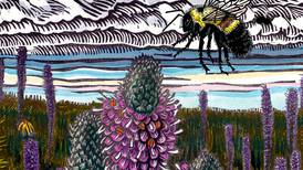 Will County Forest Preserve art exhibits celebrate prairie landscapes and birdlife 