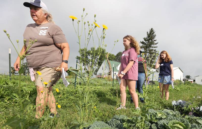 Julie Craig, (left) Walnut Grove Vocational Farm assistant program director, leads Sustainable Food Safari Camp participants on a hunt to identify various vegetables Wednesday, July 27, 2022, during the camp's stop at Walnut Grove Vocational Farm in Kirkland.