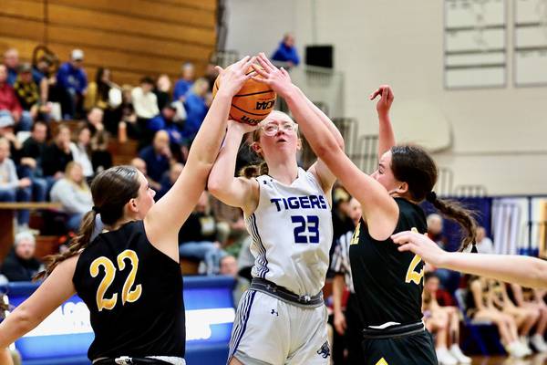 Riverdale too much for short-handed Princeton 