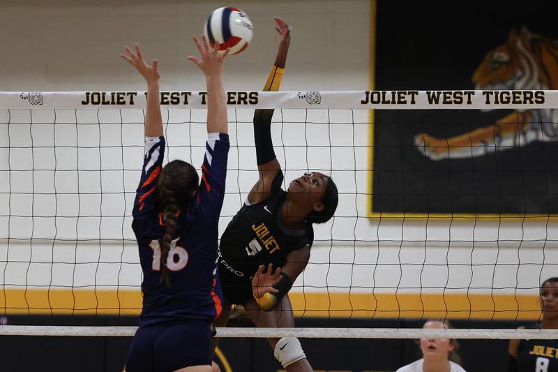 Joliet West’s Mady Gant stretches for the kill against Romeoville on Thursday, Sept. 5, 2024 in Joliet.