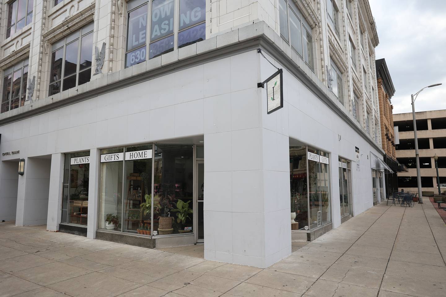 Internode Greenery and Home recently open in Downtown Joliet, providing interior design consulting, house plants and greenery focused home decor.