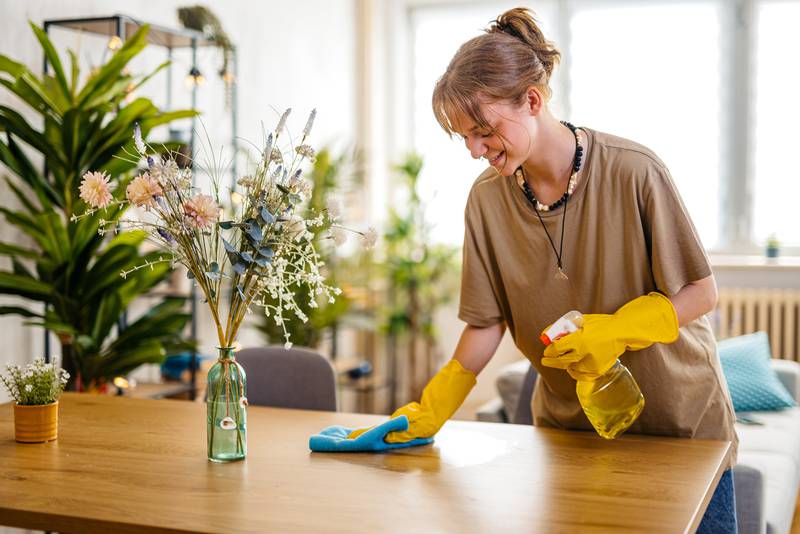 Merry Maids of Sycamore  - Spring Cleaning Tools to Get the Job Done