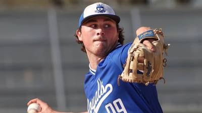 Daily Chronicle 2025 Baseball Player of the Year: Hinckley-Big Rock’s Martin Ledbetter