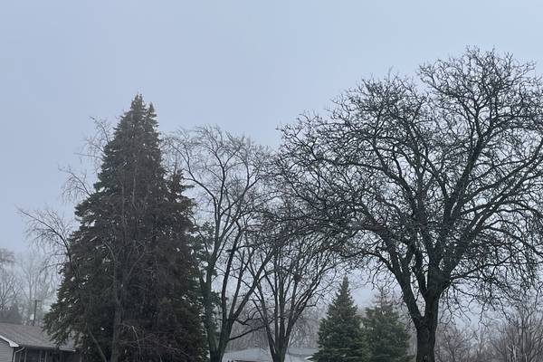 Thunderstorms could lead to hail, damaging winds across parts of northern Illinois