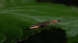 Forest Preserve District of Will County offers range of July programs