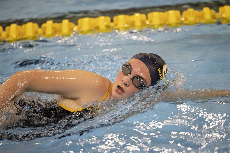 Sterling’s Elin Shuman competes in the 100 freestyle race against Rock Island Tuesday, Sept. 30, 2025.