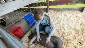 Lee County Ag Expo marks 20 years of farm, food fact finding