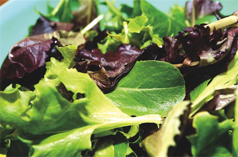 Grace loves baby spinach and romaine lettuce, but one of her favorites is a packaged greens mixture, which is sold at most grocers. It is called spring mix or fresh herb salad. Most of the packaged greens are organic and pre-washed.